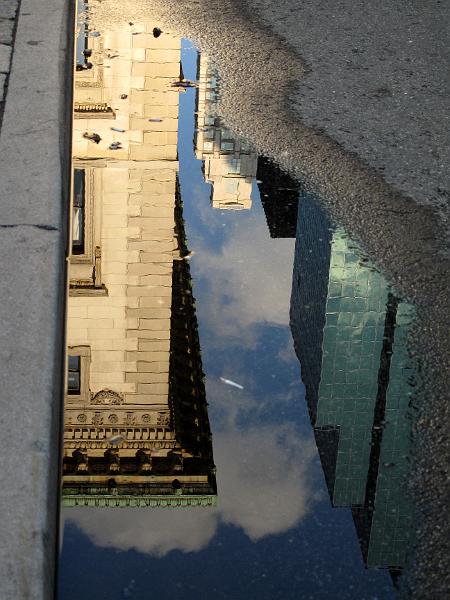 NY (459).JPG